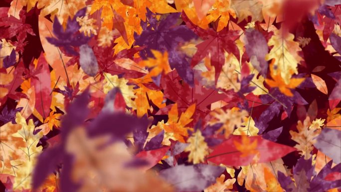 抽象画秋天的颜色背景屏幕保护程序与黄色和紫色的落叶。循环运动图形。