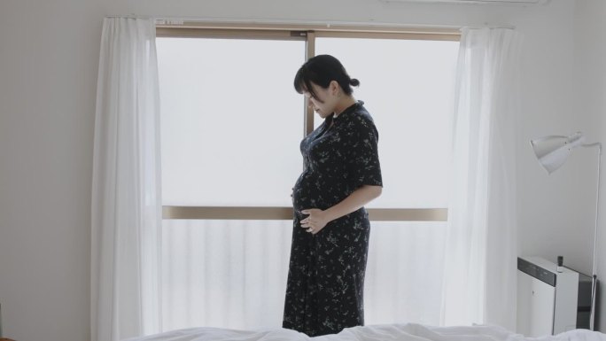 怀孕的日本年轻女子的肖像