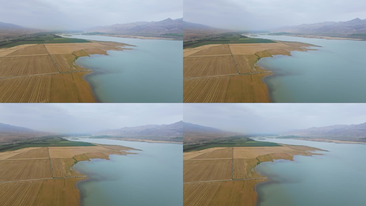 航拍秋天新疆伊犁恰甫其海湖畔的金色麦田