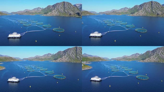 挪威养殖三文鱼养殖场