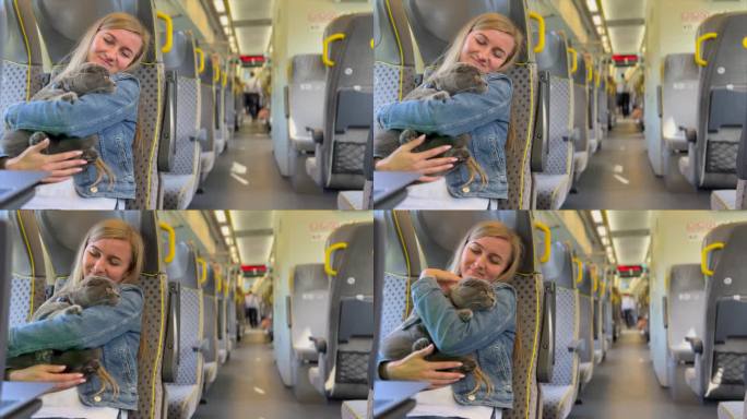 在现代电车、公共汽车或地铁里，抱着一只灰猫的女人。在公共交通上的漂亮女孩。动物旅行