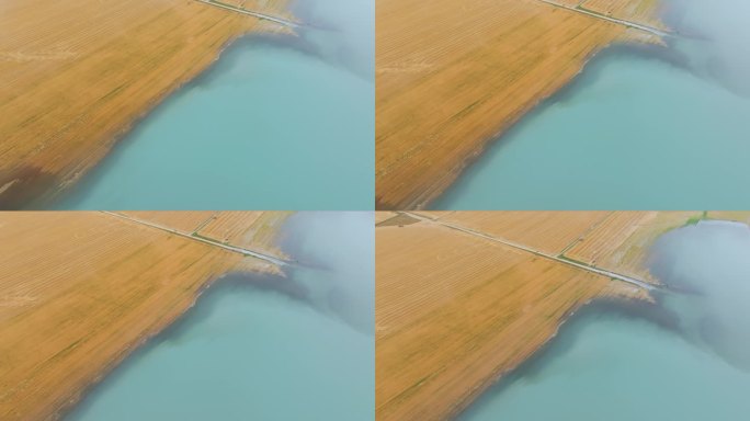 航拍秋天新疆伊犁恰甫其海湖畔的金色麦田