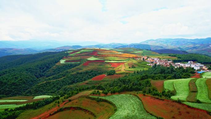 东川红土地是上帝打翻的调色板 红土梯田