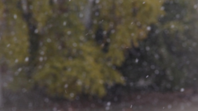 初雪纷飞的雪花下雪啦初冬的雪花雪花纷飞