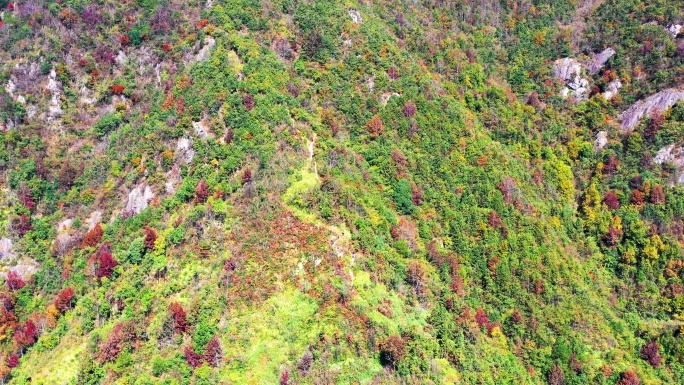 浙江天台山南黄古道，黄南古道，沿途风光