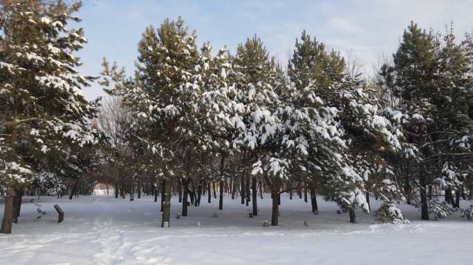 4k哈尔滨雪景空镜头初雪人文素材
