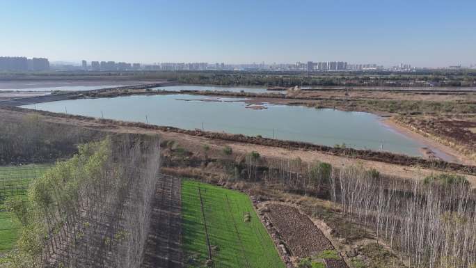 济南黄河北岸的鹊山龙湖湿地