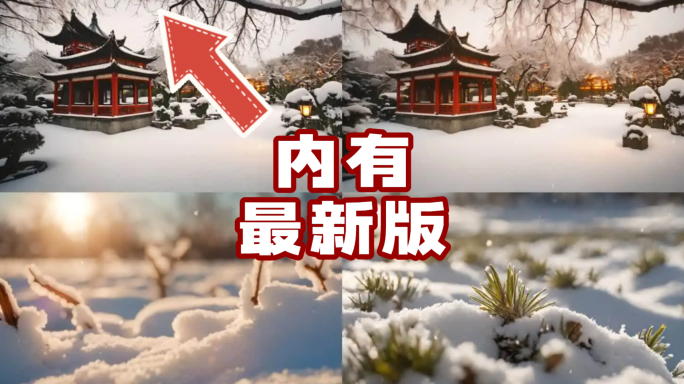 冬至节气小雪降温雨雪天气雪景下雪飘雪01