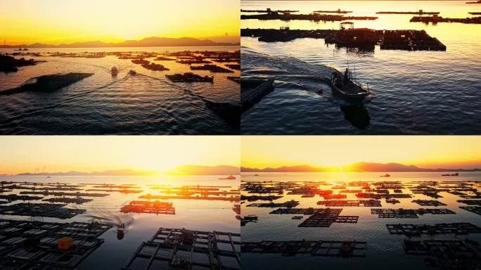 广东阳江海陵岛夕阳下闸坡渔港码头航拍