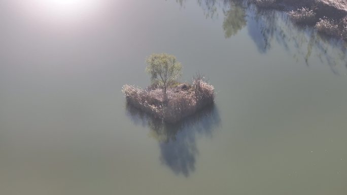 济南黄河北岸的鹊山龙湖湿地