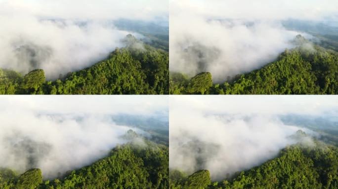 空中无人机拍摄的早晨雨林，有很多雾和薄雾沿着山脊流动