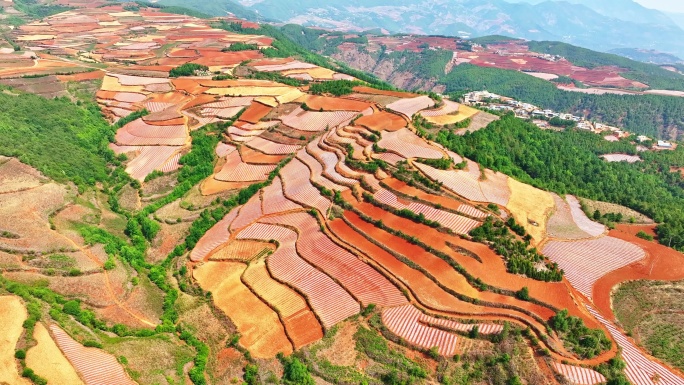 东川红土地是上帝打翻的调色板 红土梯田