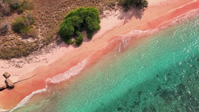 印尼科莫多国家公园的粉色海滩