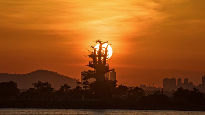 珠海横琴芒洲湿地公园景观树日落延时视频-