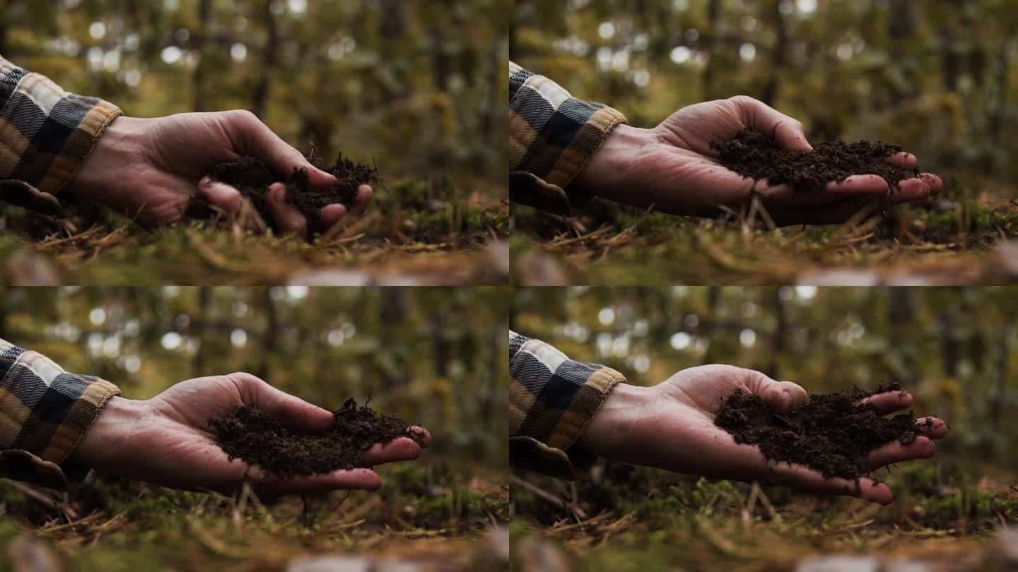 农民的手抓着土壤。