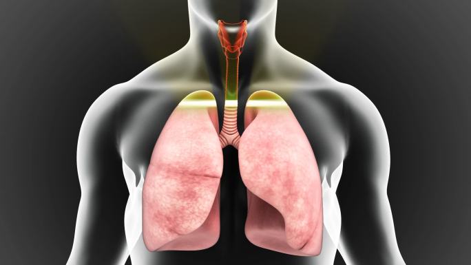 肺部呼吸恢复活力