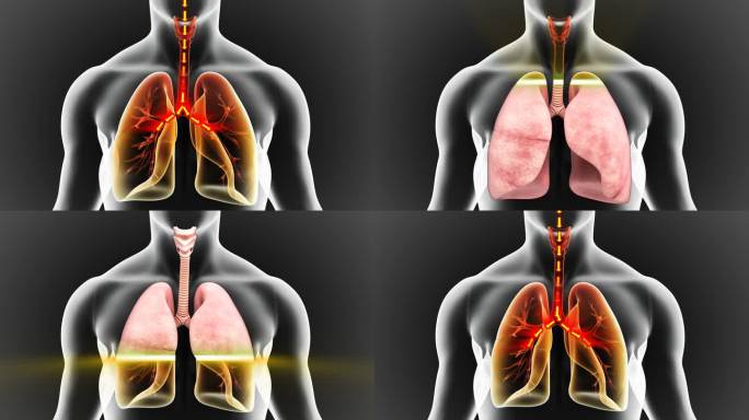 肺部呼吸恢复活力