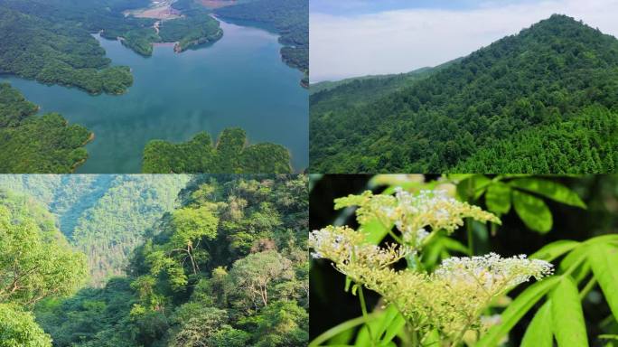 大自然山水