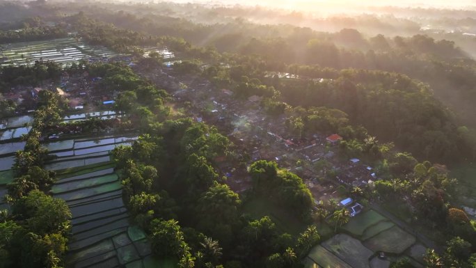空中无人机拍摄的日出景象，位于印度尼西亚巴厘岛丛林中部的山地梯田。