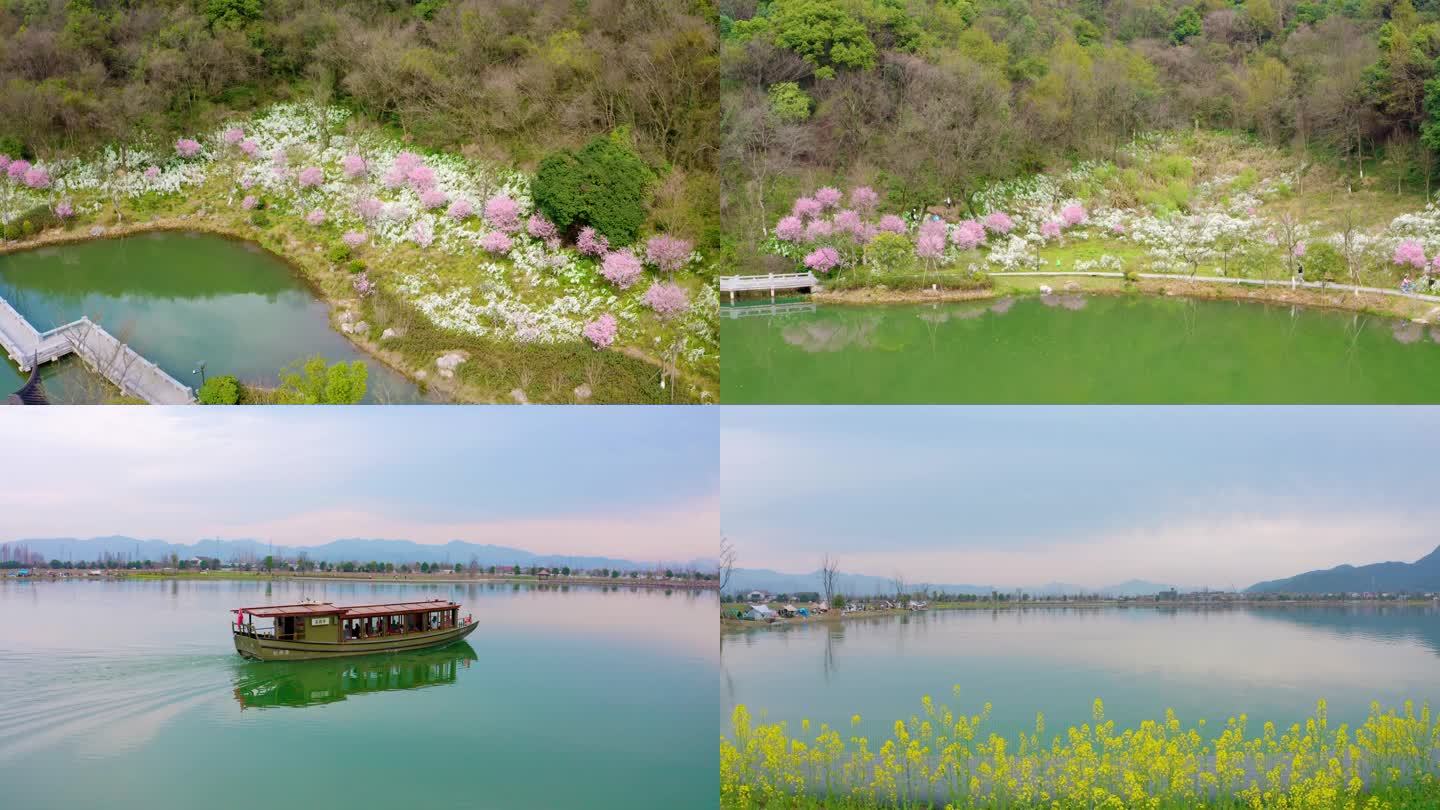 4K杭州西湖区铜鉴湖梅花游船航拍