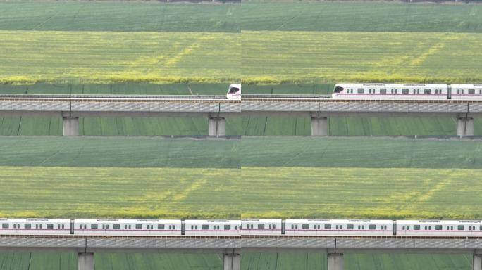 从油菜花田上经过的地铁
