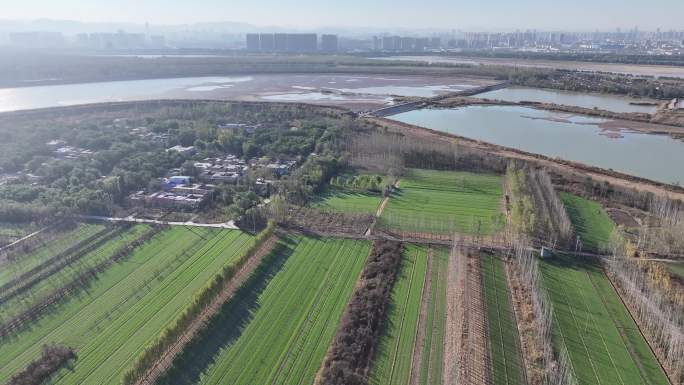 济南黄河北岸的鹊山龙湖湿地