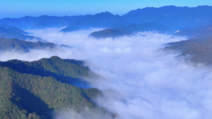 清晨云海山村青山绿水 山村云雾 美丽乡村