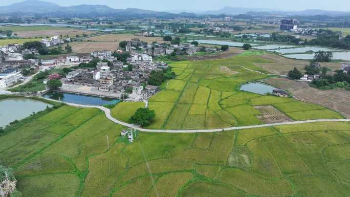 广东省江门市开平市赤坎镇塘口墟天下粮仓