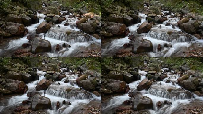 清澈溪流延时小溪流水视频素材
