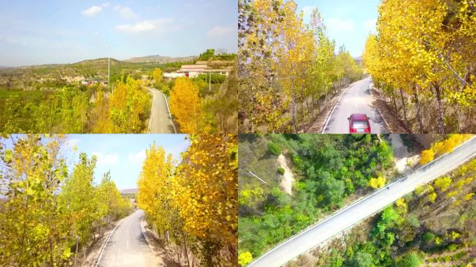 航拍村庄秋天道路树叶风景