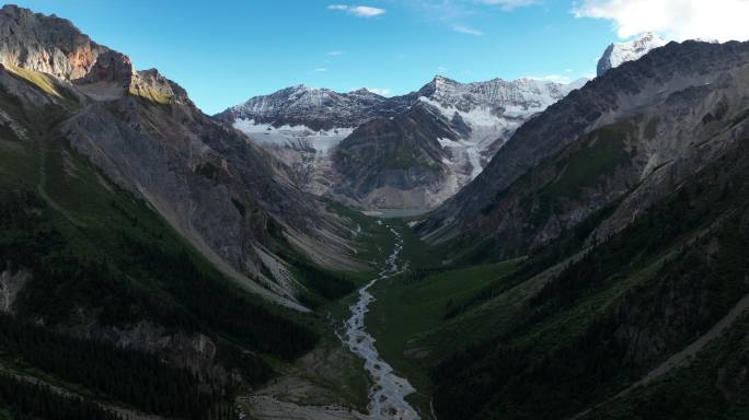 然乌湖河口的河流、森林和雪山