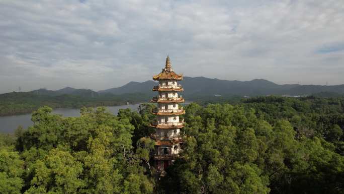 【正版素材】深圳西丽湖水库