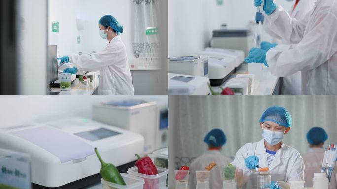 T0746科研人员在实验室检测蔬菜