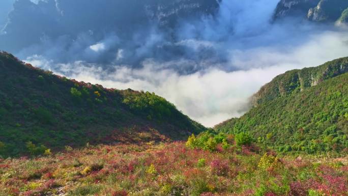 航拍三峡红叶