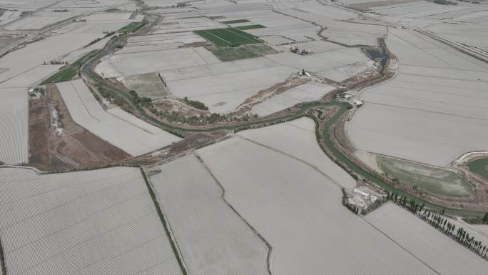 新疆尉犁县 沙漠农田水利公路