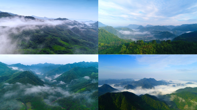 广西柳州森林光影 云雾森林  自然空镜