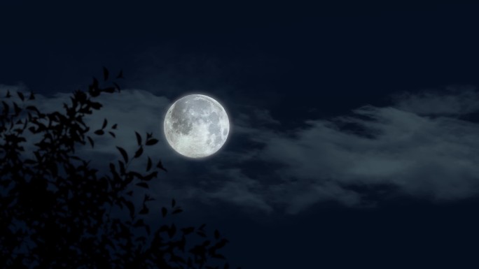 夜晚月亮升起