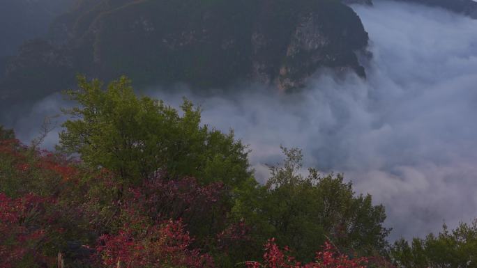 航拍三峡红叶