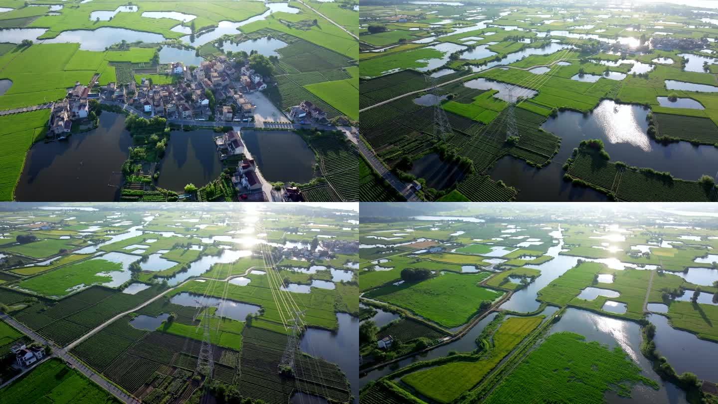 4K航拍智慧农田 水稻种植基地