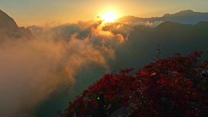 航拍三峡红叶