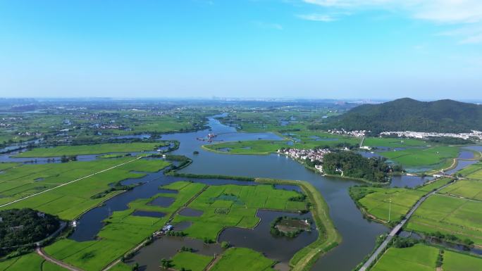 4K航拍农村智慧农田 水稻种植基地