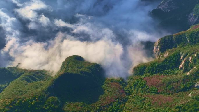 航拍三峡红叶