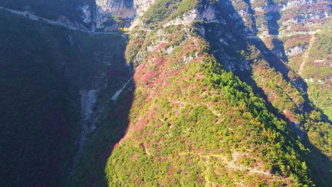 航拍三峡红叶