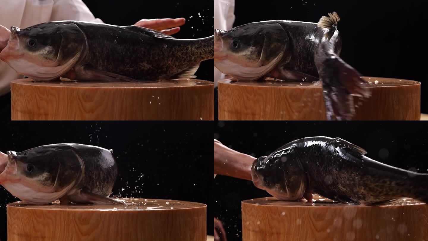 大头鱼杀鱼慢镜头