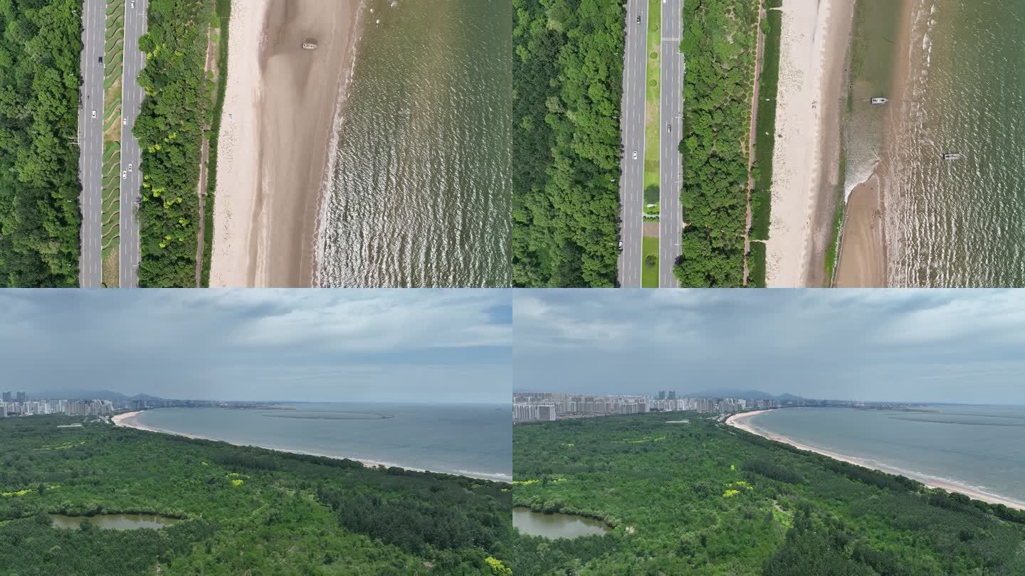 大海森林沿海公路