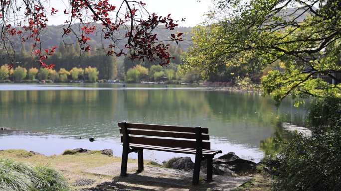 杭州西湖边的长椅 秋日氛围