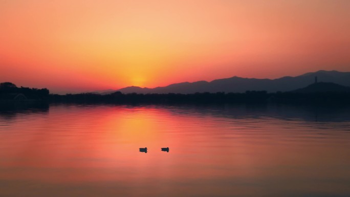 北京颐和园夕阳火烧云落日下的鸭子