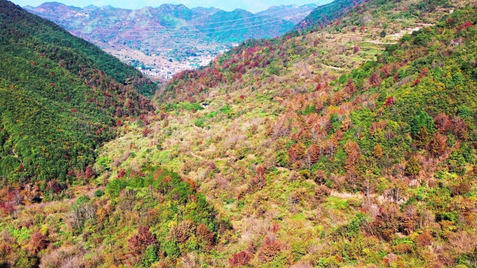 浙江天台山南黄古道，沿途风光