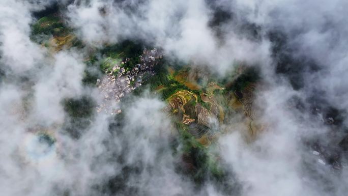 云南红河哈尼梯田云海