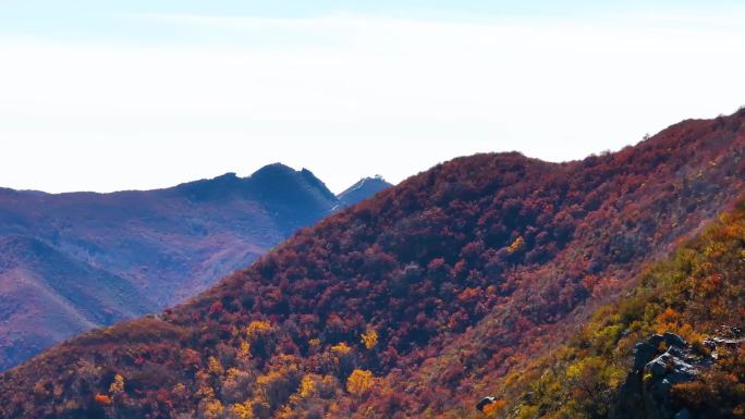 航拍大青山秋景